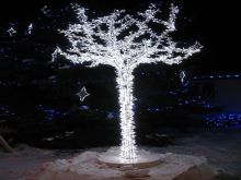 ışıklı led ağaç fiyatları